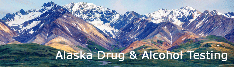Spenard, Alaska Drug and Alcohol Testing1 centers