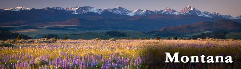 DOT Drug Testing Montana MT