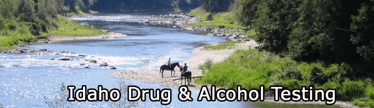 Idaho Drug And Alcohol Testing1