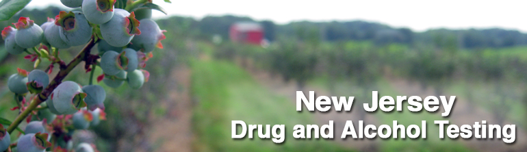 West New York, New Jersey Drug and Alcohol Testing1 centers