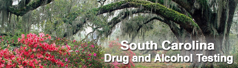 South Carolina Drug And Alcohol Testing1