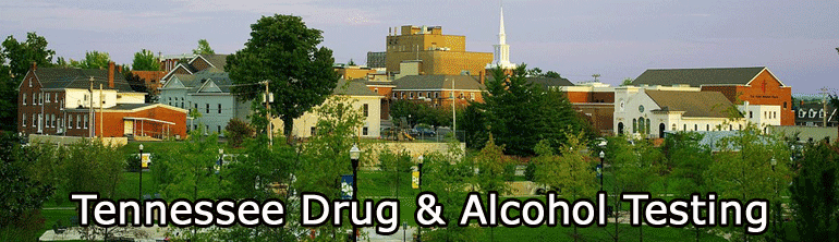 Nashville Tennessee Drug Testing Locations Call Today Save